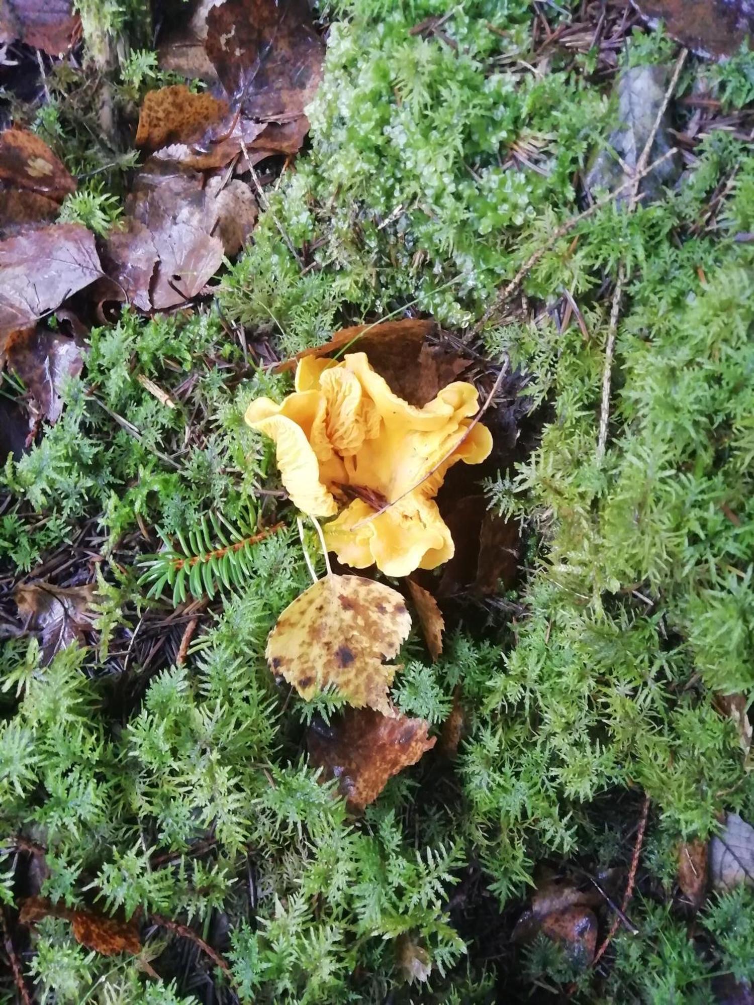 Moshults Vandrarhem Skruv Buitenkant foto
